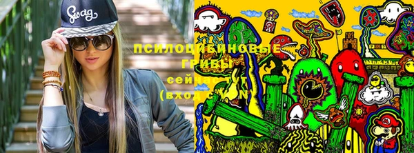 таблы Алексин